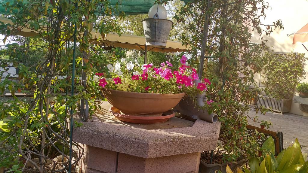 Agriturismo La Crocetta San Giovanni in Persiceto Kültér fotó